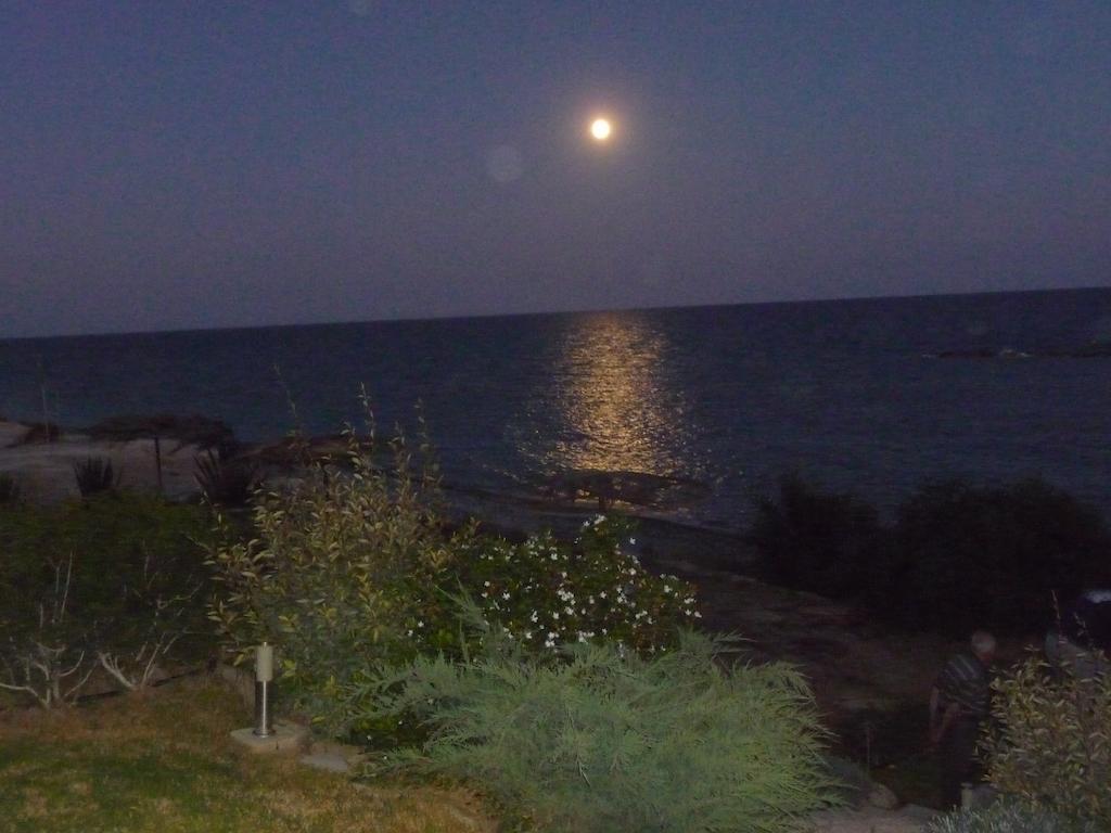 Zygi Beachfront Villa Dış mekan fotoğraf